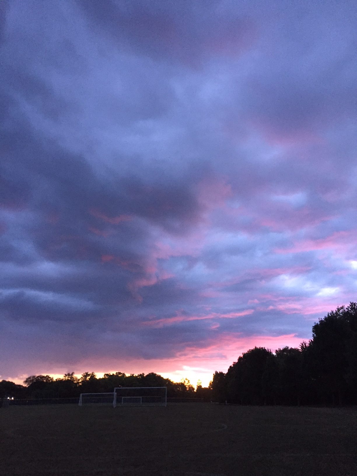 Paying Attention, Part 1: Walking the Dogs