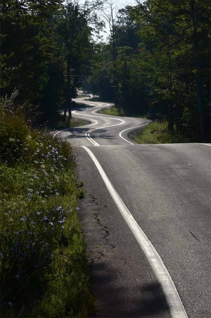 (photo: Teel Miller)