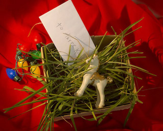 Freshly cut grass in a box