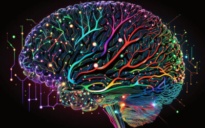 Right Brain? Left Brain? A NO BRAINER