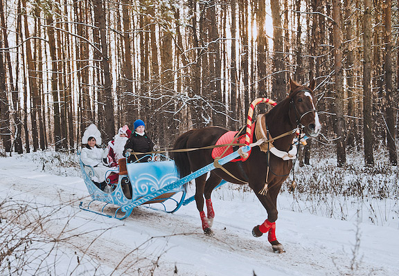 Song Spotlight – Jingle Bells Hallelujah: A Holiday Mashup