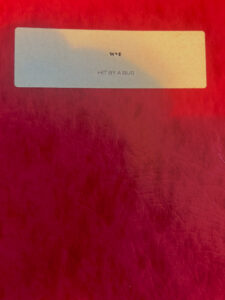 Mark Fedota - Photo of the Red Book